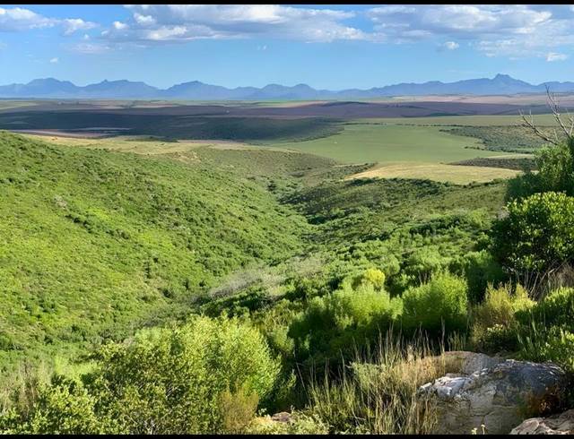 FARM FOR SALE IN MOSSEL BAY RURAL